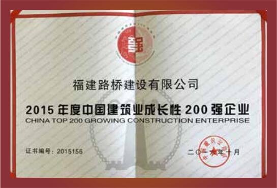 2015年度中國(guó)建筑業(yè)成長(zhǎng)性200強(qiáng)企業(yè)